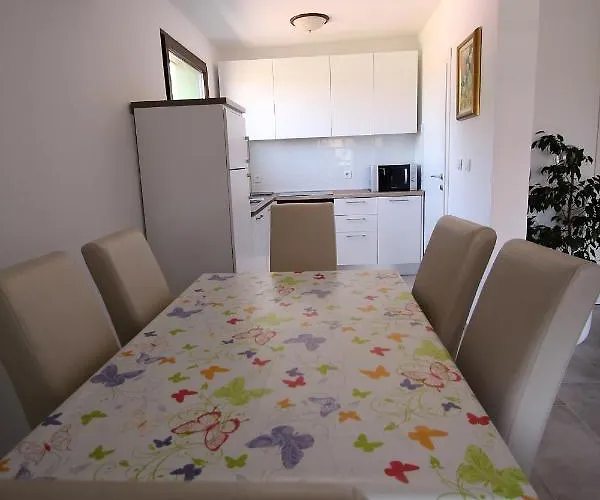 Sun & Fun * 파자나